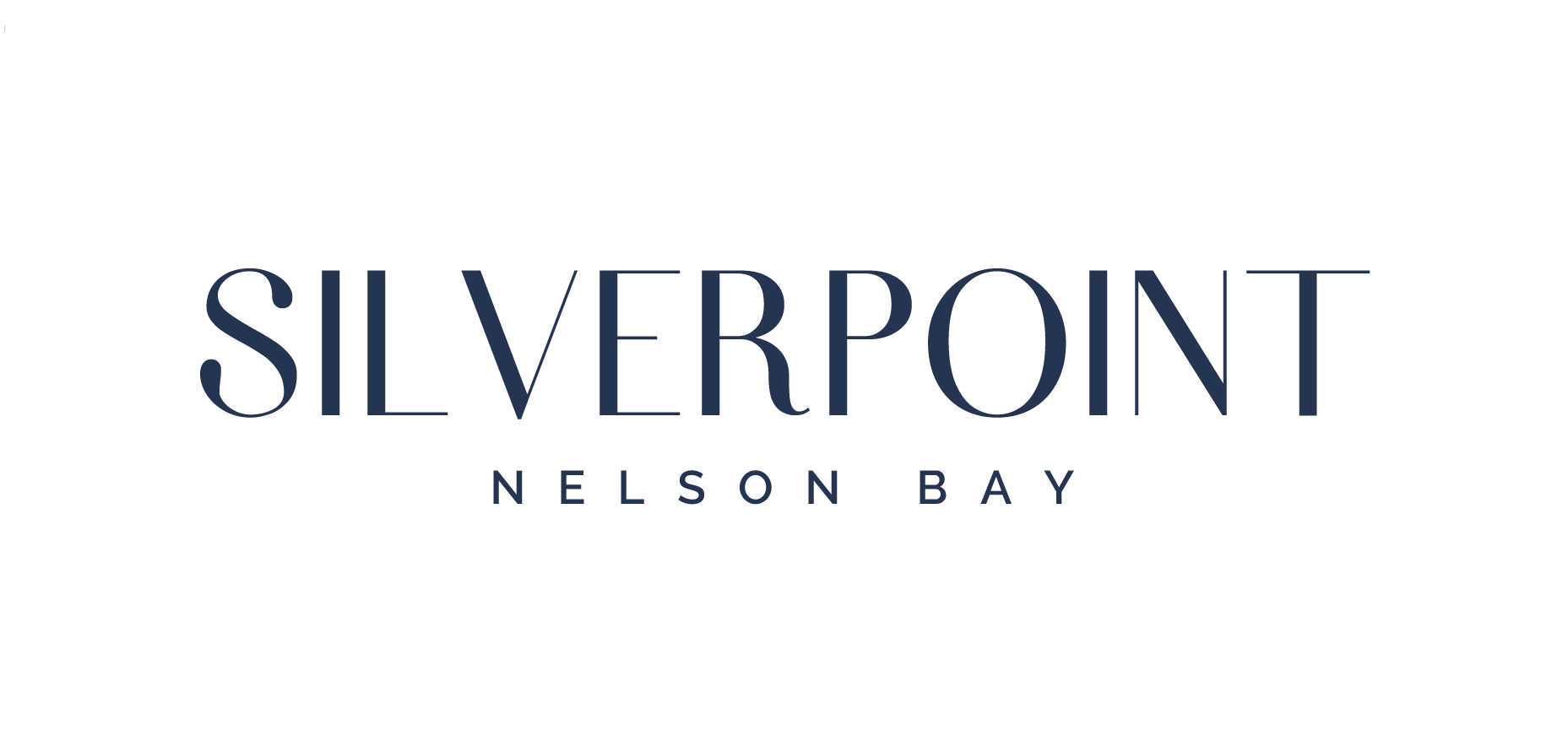 Silverpoint Logo 2023 - Deep Sea Reversed - Web